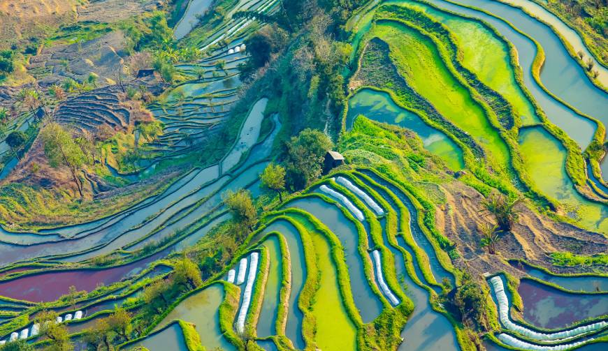 宝妈必备神器：大安市产品视频拍摄轻松育儿好帮手